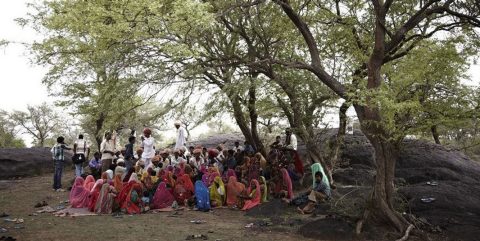 residents of India - Mark Katzman