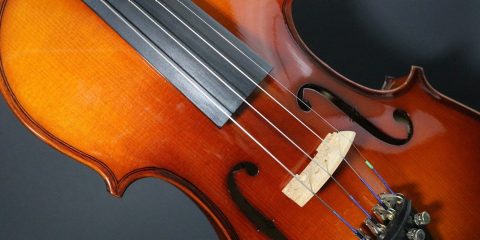 violin