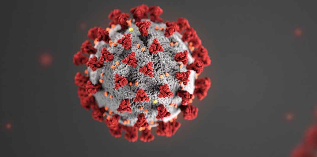 coronavirus molecule