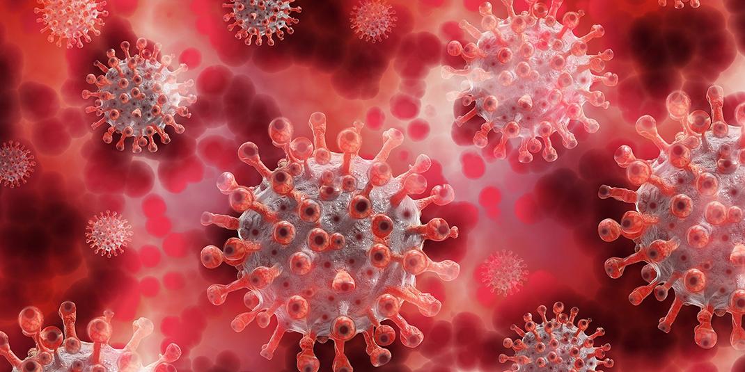 A close-up of the coronavirus