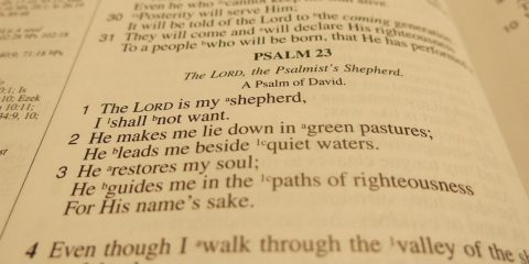 Book of Psalms