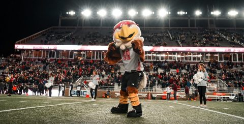 Baldwin the eagle mascot in a red bandanna at Alumni Stadium
