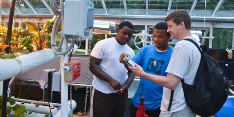 Boston College Professor of Science Education Mike Barnett (r) and colleagues report a number of positive results for students who participated in an afterschool science enrichment curriculum they developed using hydroponic gardening techniques. 