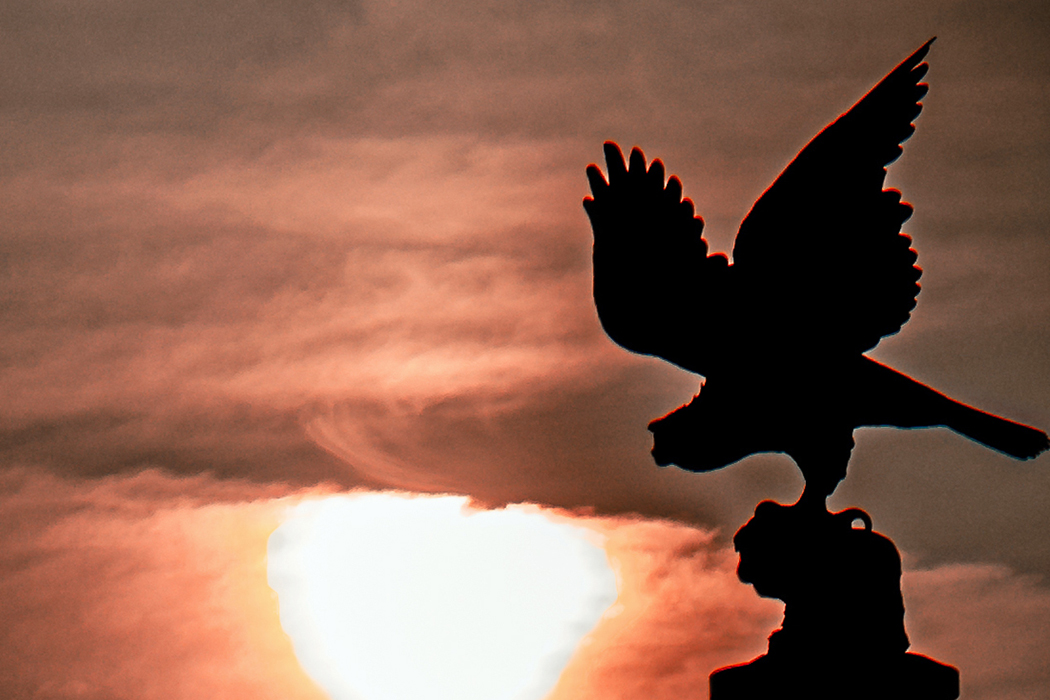 Eagle and Gasson tower