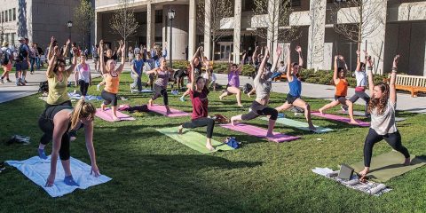 People doing yoga outside