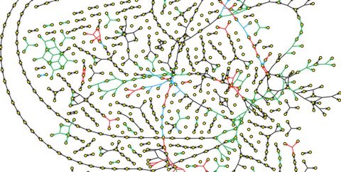 Graphic: The first curated, genome-scale metabolic network of the lethal bacterium Streptococcus pneumoniae.