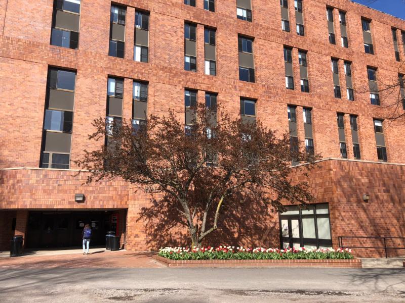 Photo of Walsh Hall 