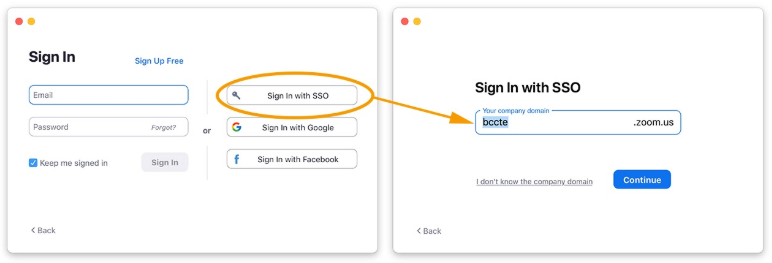 Sign In with SSO and type bccte