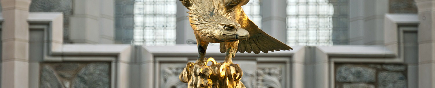 Messina College