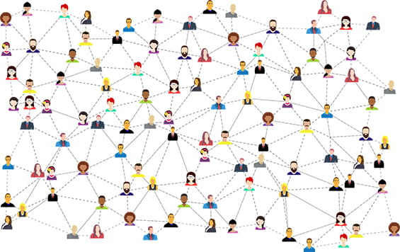 network of connections