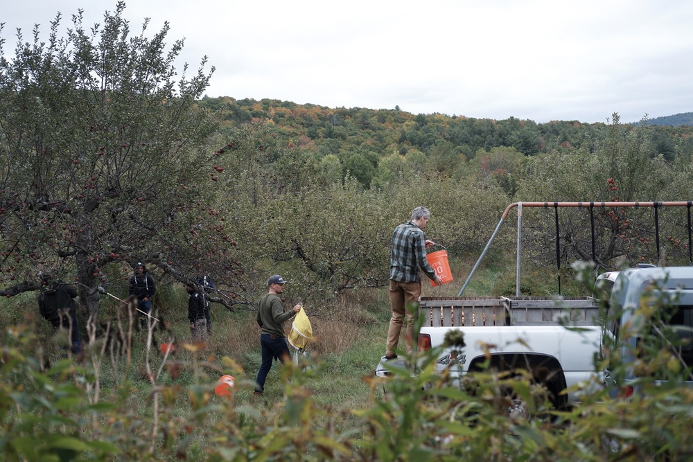 farmers in an apple orchard