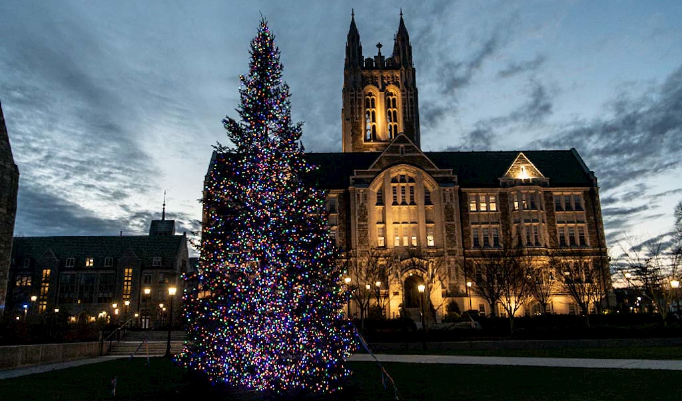 lit Christmas tree at dusk with Gasson Hall in the background