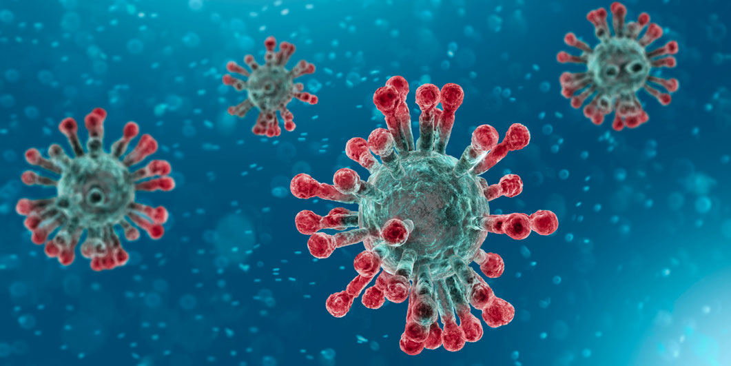 Corona virus microscopic version