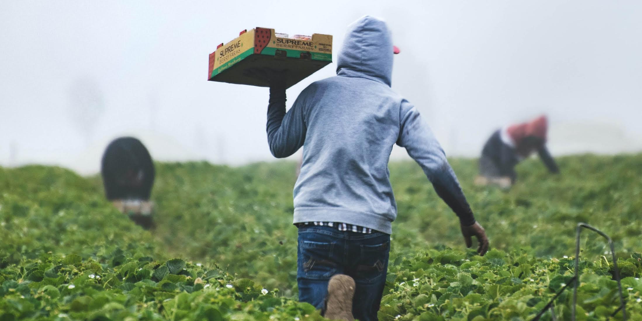 Fairness for Farmworkers