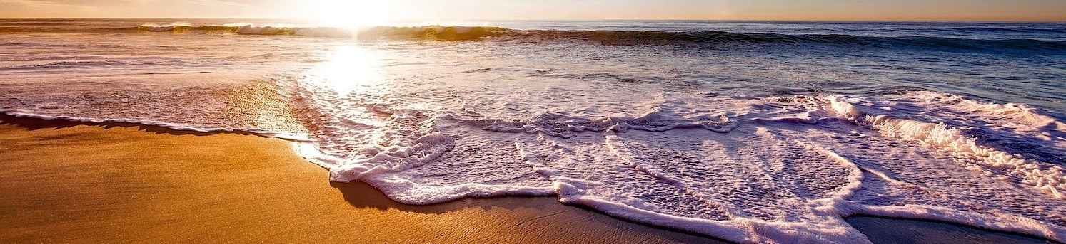 PCE - ocean 1500x342