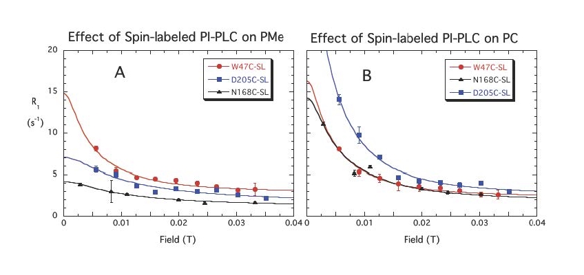 Spin Effect 5