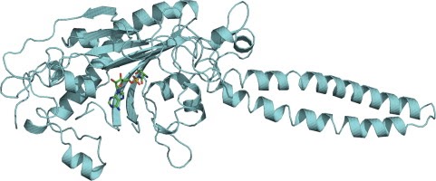 63. "Expanding the substrate scope of pyrrolysyl-transfer RNA synthetase