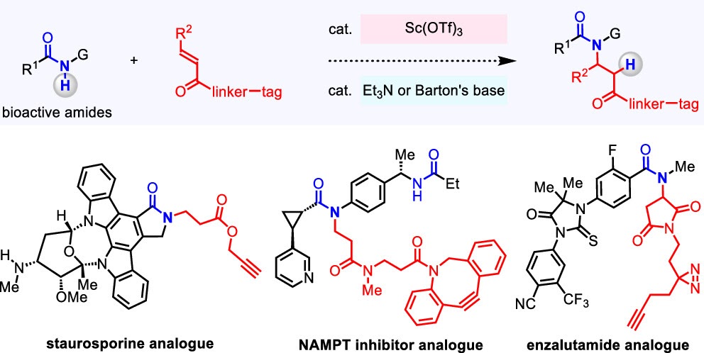 63. "Expanding the substrate scope of pyrrolysyl-transfer RNA synthetase