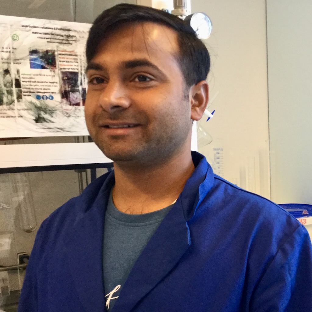 Raushan Kumar Jha