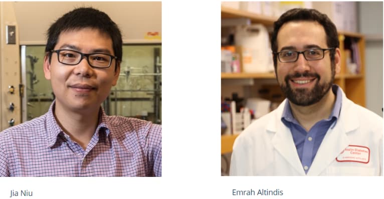 Research grants