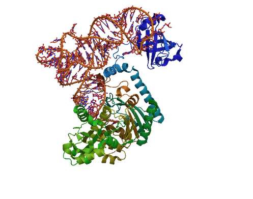 Clote lab image