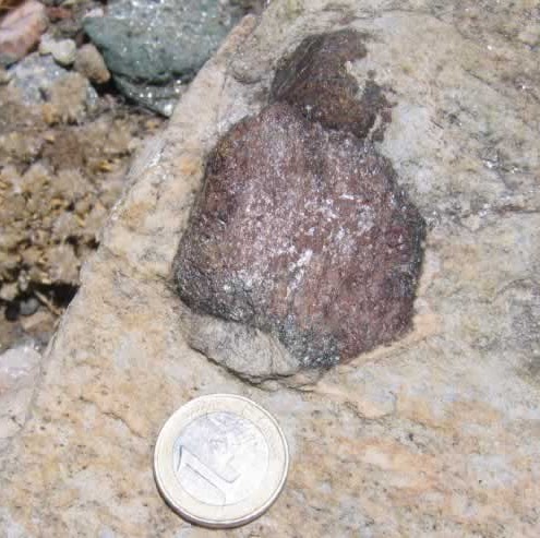 A rock and a coin