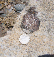 Garnet Geochronology