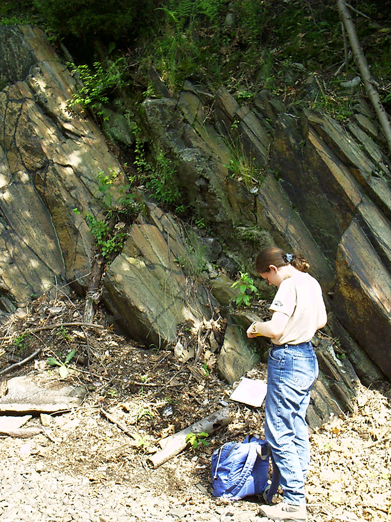 A person doing field research