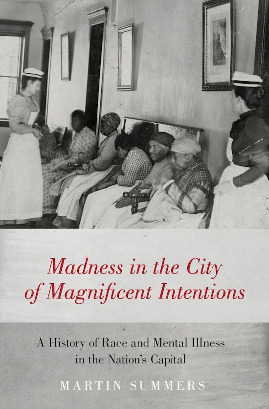 Martin Summers' Book - Madness in the City of Magnificent Intentions