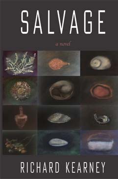 Graphic of the book cover 