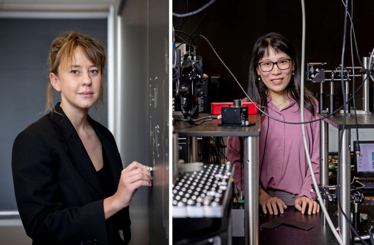 NSF Award 2022