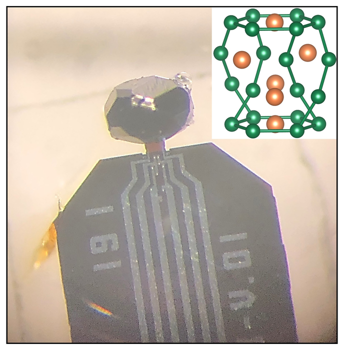 Low-Res_Tafti_2.jpg