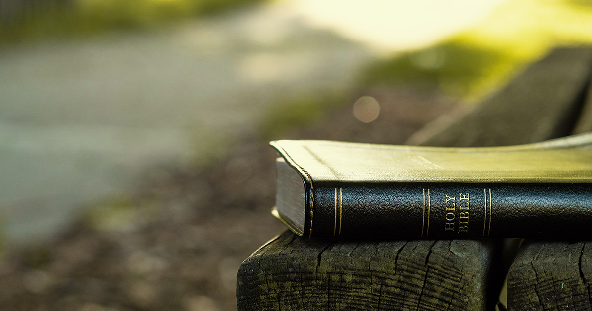 A Bible sitting on a bench next to a dirt path