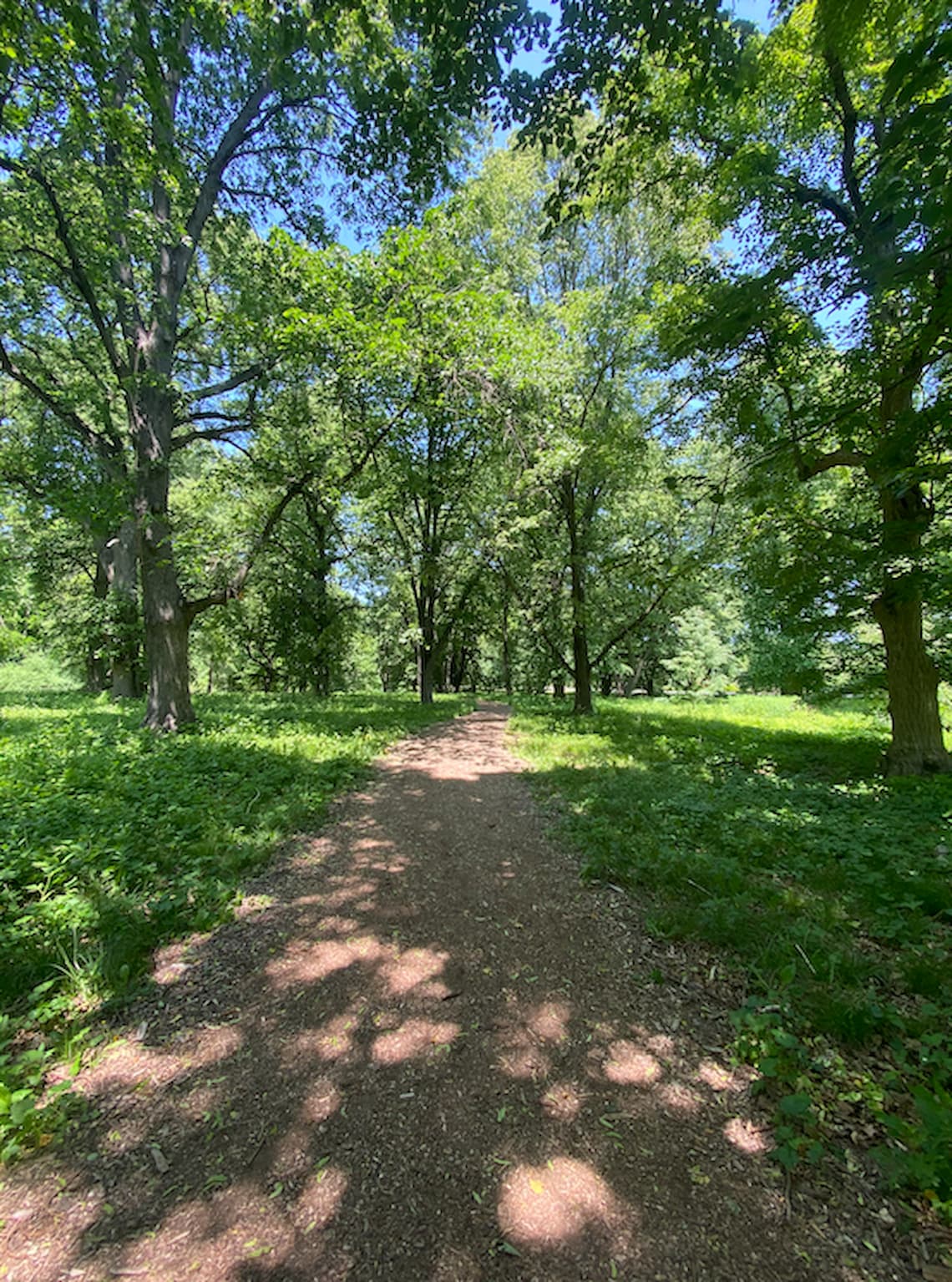 A walk through the Arboretum