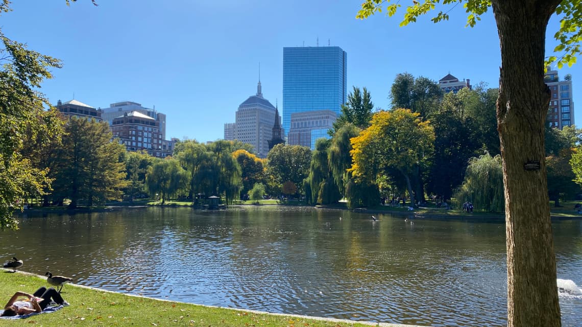 Boston Public Garden