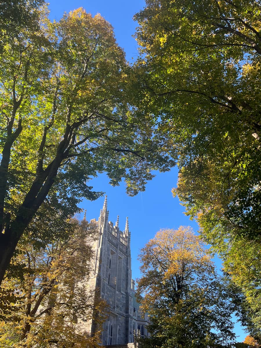 BC campus view