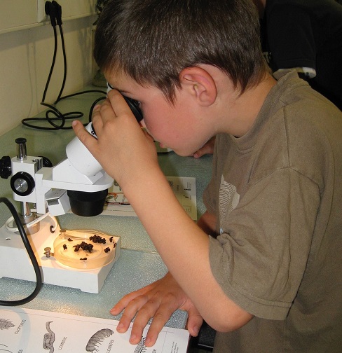 child with microscope_Pixabay500