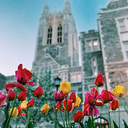 flowers in front of Gasson