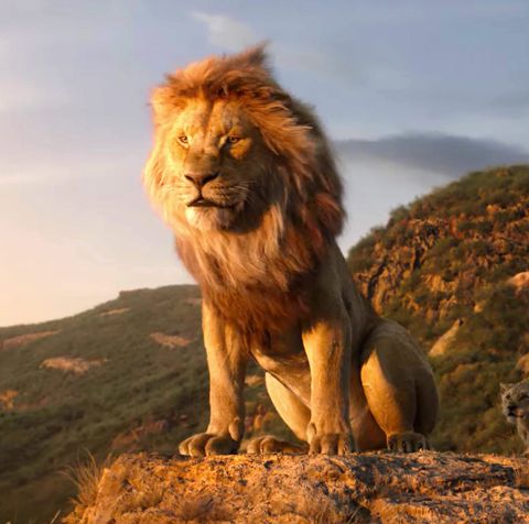 Lion