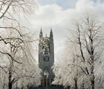 Gasson Postcard